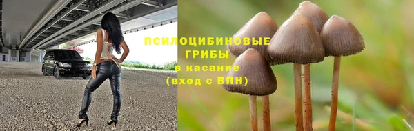 ALPHA PVP Арсеньев