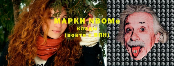гашик Аркадак